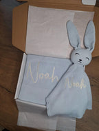 Blanket and Bunny