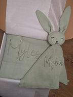 Blanket and Bunny