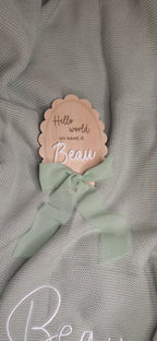 Hello world Name Plaque